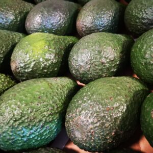 AVOCAT BIO ESPAGNE LA PIECE