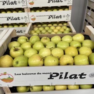 POMME GOLDEN FRANCE LE KG