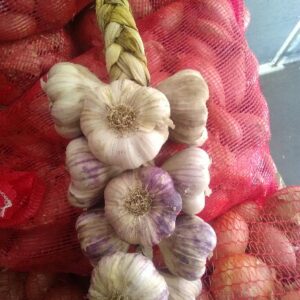 TRESSE AIL DROME LA PIECE