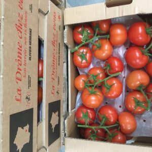 TOMATE GRAPPE LE KG FRANCE DROME