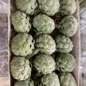 ARTICHAUT BLANC PROVENCE LA PIECE