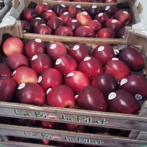 POMME BIO STORY FRANCE LE KG