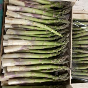 ASPERGES VERTES LE KG GARD
