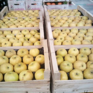 POMME CHANTECLERC LE KG FRANCE