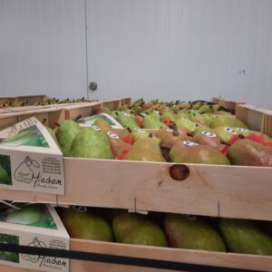 POIRE WILLIAMS FRANCE 1 KG