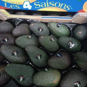 AVOCAT HASS CORSE LA PIECE