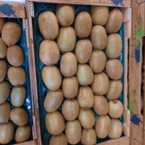 KIWI HAYWARD LE KG NELLE ZELANDE