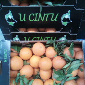 ORANGE A FEUILLES CORSE LE KG