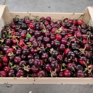 CERISE FOLFER DROME LE KG