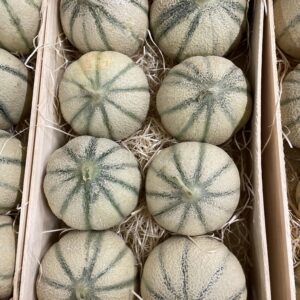 MELON FRANCE LA PIECE