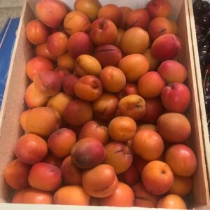 ABRICOT CONFITURE FRANCE DROME LES 5 KGS