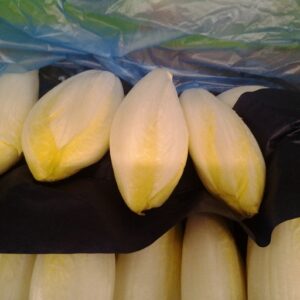 ENDIVE 1 KG FRANCE