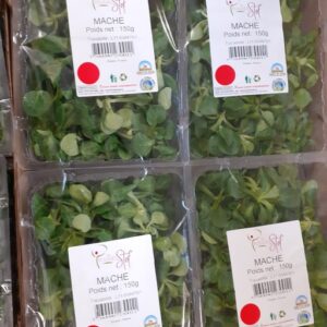 SALADE MACHE FRANCE LA BARQUETTE