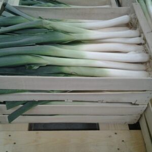 POIREAU FRANCE AIN LE KG