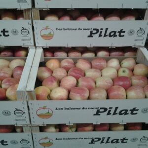 POMME GALA FRANCE 1 KG