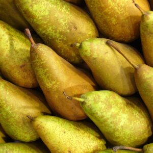 POIRE CONFERENCE FRANCE LE KG