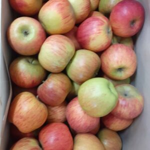 POMME REINE DES RENETTES LE KG FRANCE