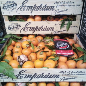 CLEMENTINE ORRI ISRAEL LE KG