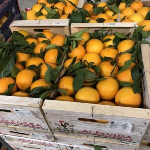 ORANGE A FEUILLES PORTUGAL LE KG