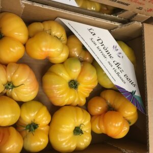 TOMATE COTELLEE JAUNE DROME LE KG