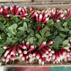 RADIS LA BOTTE FRANCE