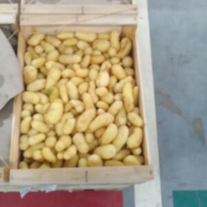 PDT DELIKATESS 0.5 KG DROME