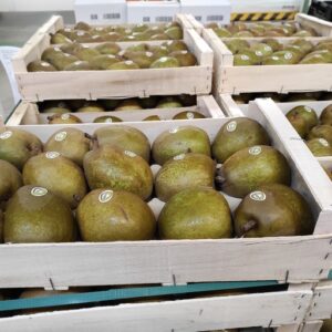 POIRE ANGELYS LE KG FRANCE