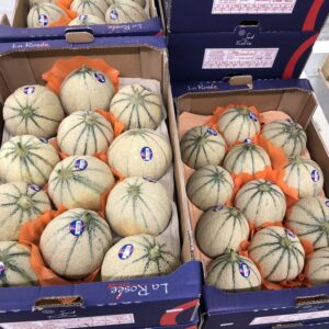 MELON CHARENTAIS PROVENCE LA PIECE