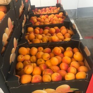 ABRICOT CONFITURE LES 5 KGS