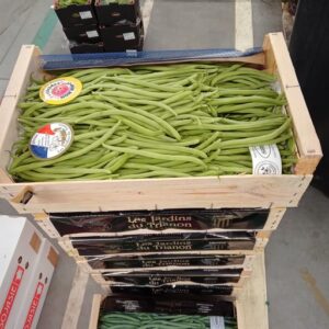 HARICOT VERT RAMASSE A LA MAIN LE 0.500 GRS FRANCE