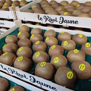 KIWI JAUNE LA PIECE NELLE ZELANDE