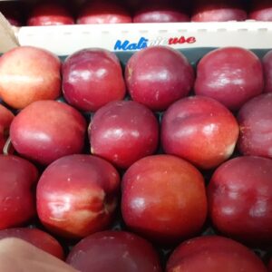NECTARINE BLANCHE DROME LE KG