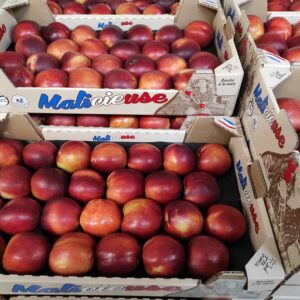 NECTARINE JAUNE DROME LE KG