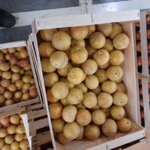 PRUNE TC SUN FRANCE LE KG