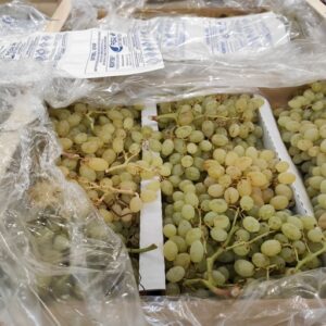 RAISIN BLANC SANS PEPIN LE 0.750 KG