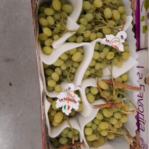 RAISON FAVORITA ITALIE 0.750 KG