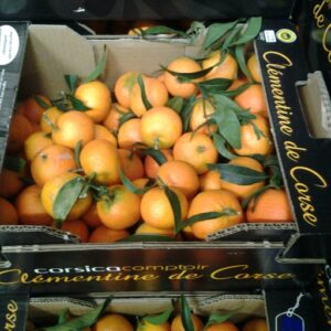 CLEMENTINE CORSE LE KG